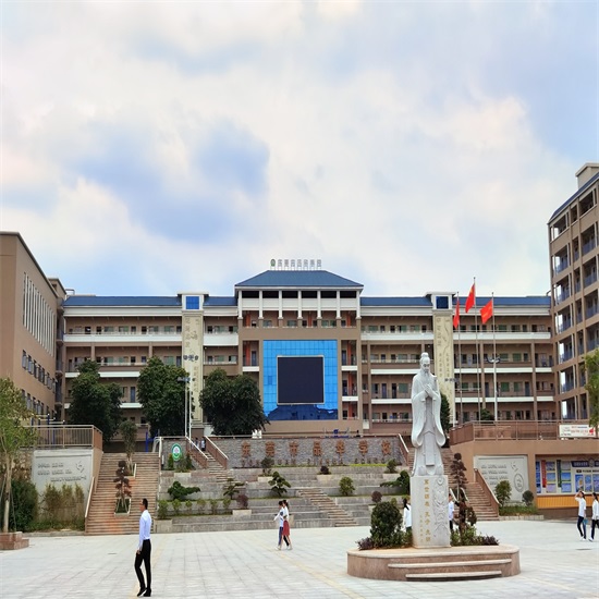 东莞市品华学校2